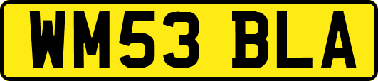 WM53BLA