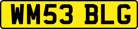 WM53BLG
