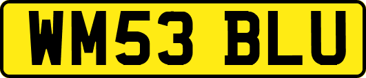 WM53BLU