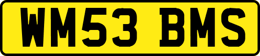 WM53BMS