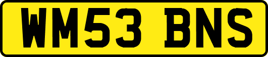 WM53BNS