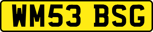 WM53BSG