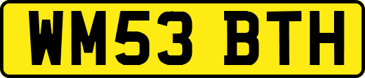WM53BTH