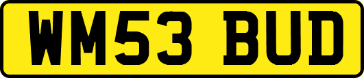 WM53BUD