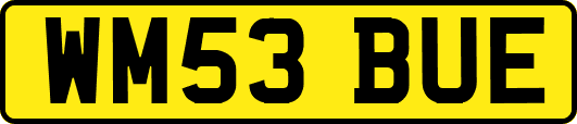 WM53BUE