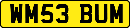 WM53BUM