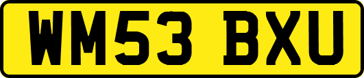 WM53BXU