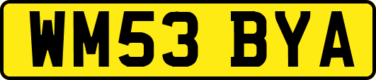 WM53BYA