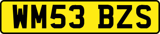 WM53BZS