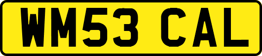 WM53CAL
