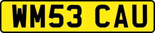 WM53CAU