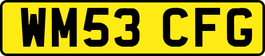 WM53CFG