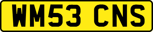 WM53CNS