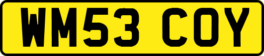 WM53COY