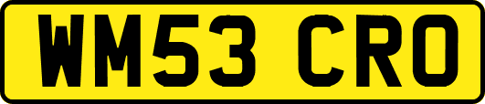 WM53CRO