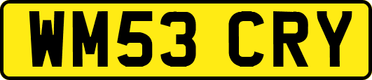 WM53CRY
