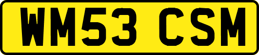 WM53CSM