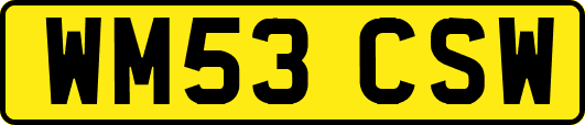 WM53CSW