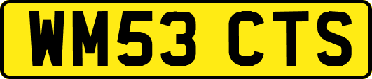 WM53CTS