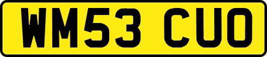 WM53CUO