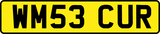 WM53CUR