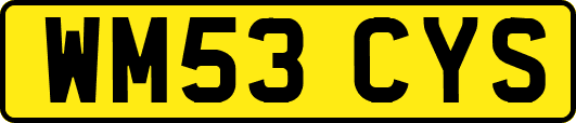 WM53CYS