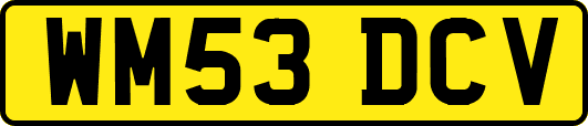 WM53DCV