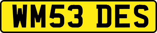 WM53DES