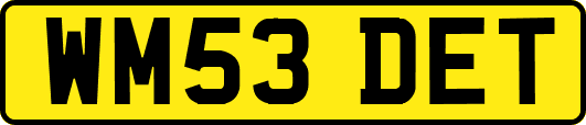 WM53DET