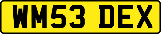 WM53DEX