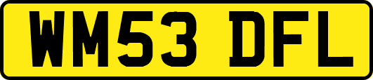 WM53DFL