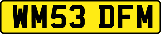 WM53DFM