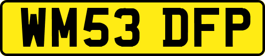 WM53DFP