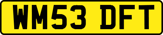 WM53DFT