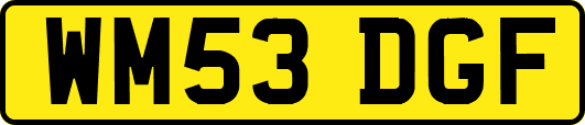 WM53DGF