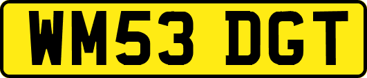 WM53DGT