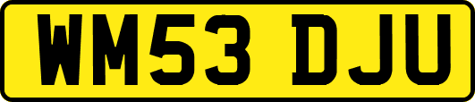 WM53DJU