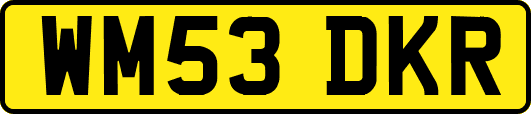 WM53DKR