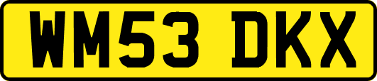 WM53DKX