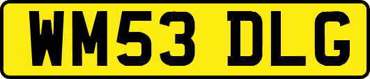 WM53DLG