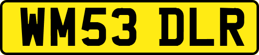 WM53DLR