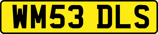 WM53DLS