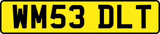 WM53DLT