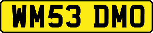 WM53DMO