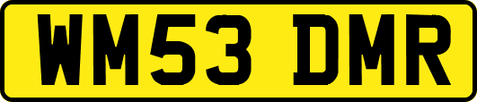 WM53DMR