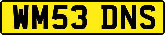 WM53DNS