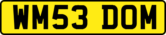 WM53DOM