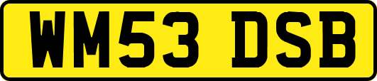 WM53DSB