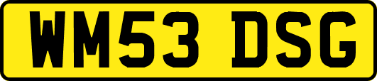 WM53DSG