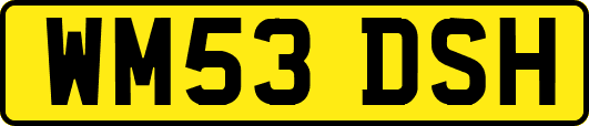 WM53DSH